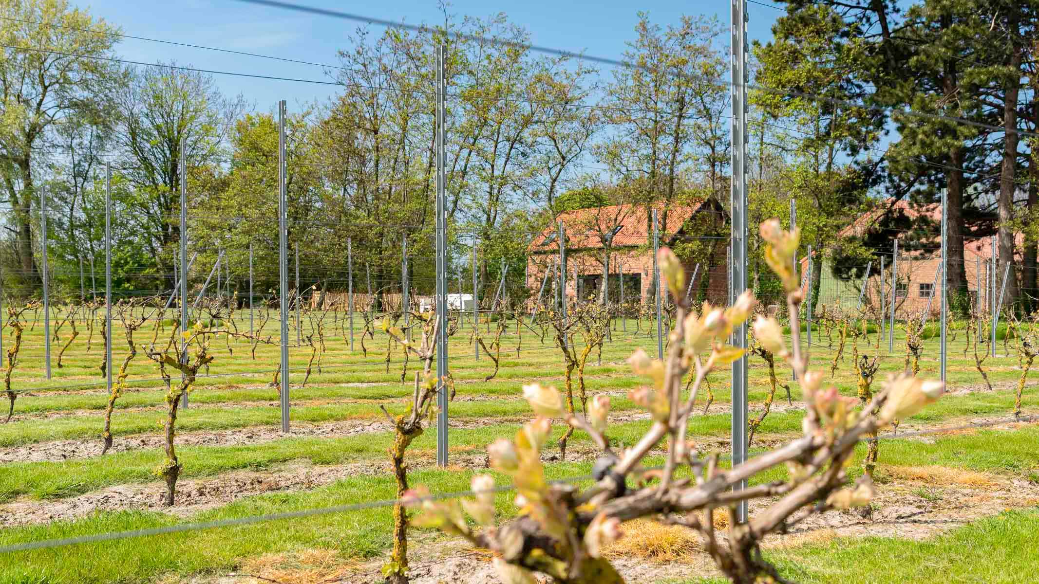 Klaske Kuperus Fotografie voor Hoeve de Lente - Breskens