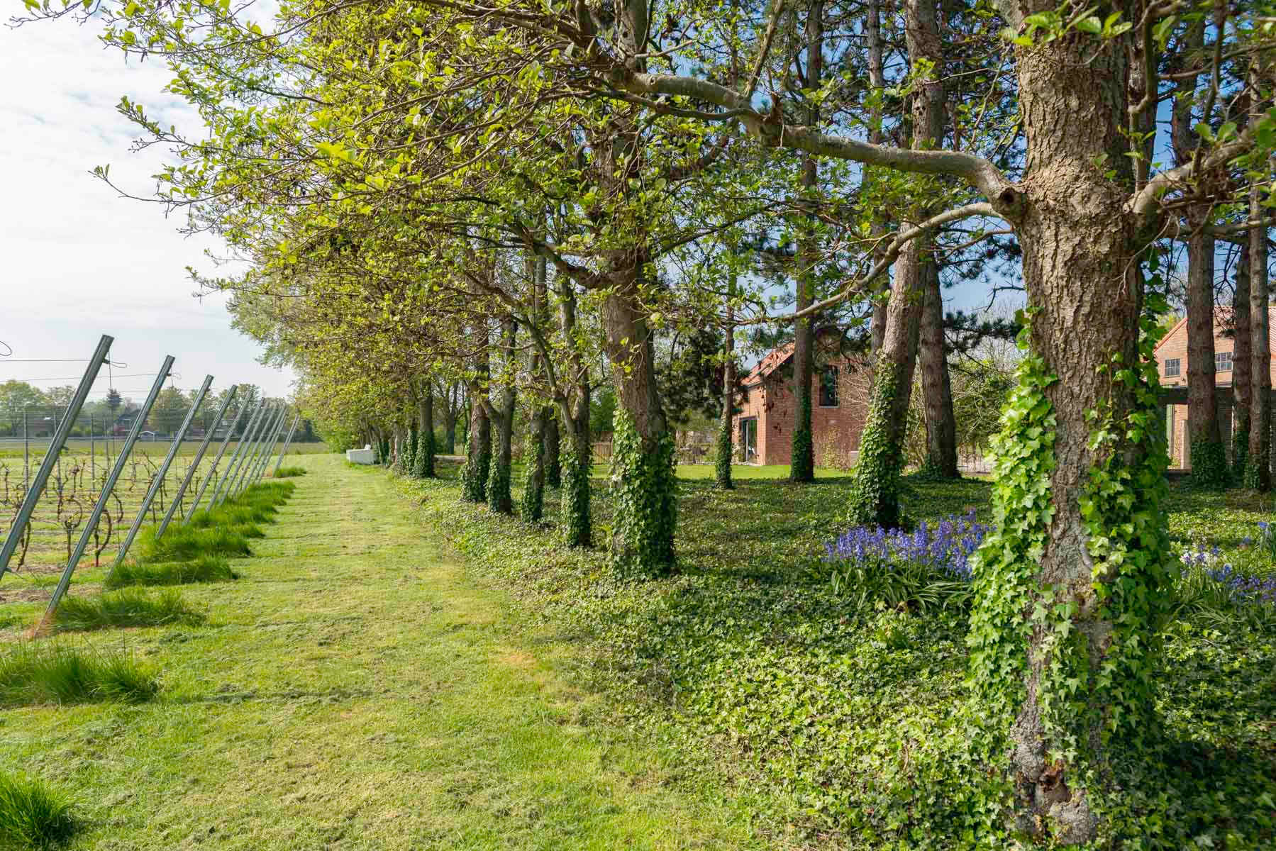 Klaske Kuperus Fotografie voor Hoeve de Lente - Breskens
